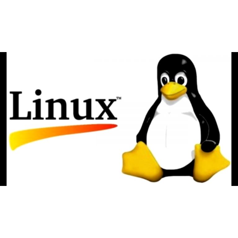 Linus Torvalds anuncia lanzamiento oficial de nueva versión del núcleo Linux con soporte a largo plazo