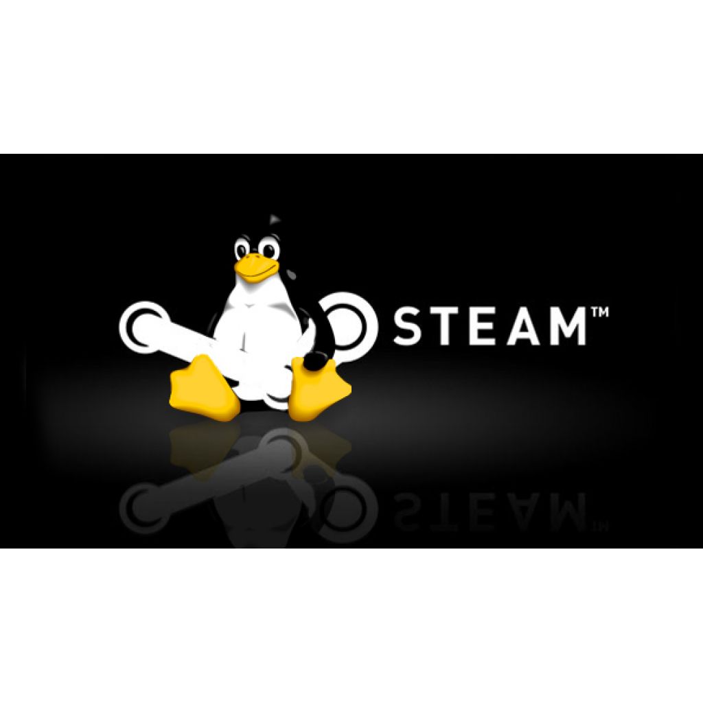 Steam линукс фото 60